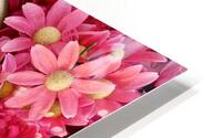 Flowers for you HD Metal print