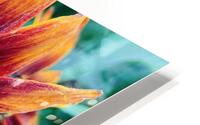 Flower Power HD Metal print