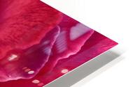 Rose HD Metal print