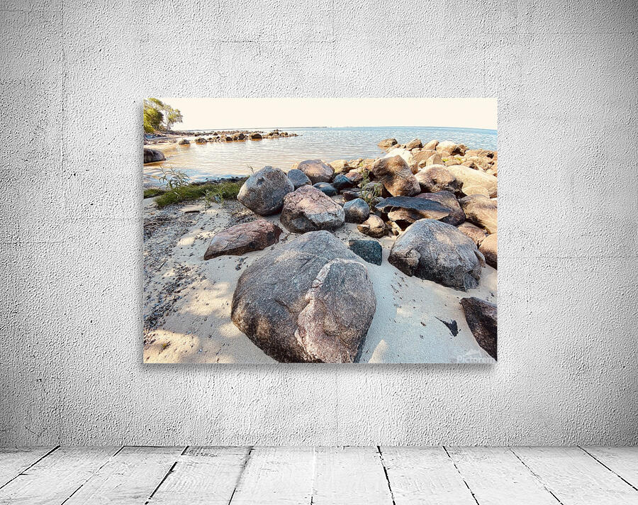 Rocky Walk Wall Preview