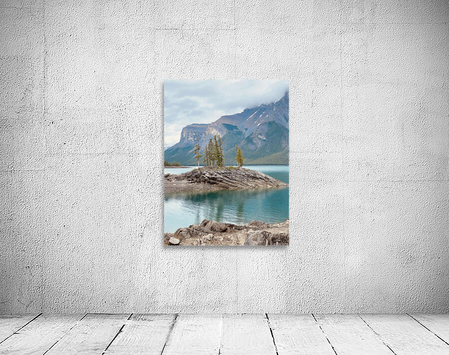 Little Island Wall Preview