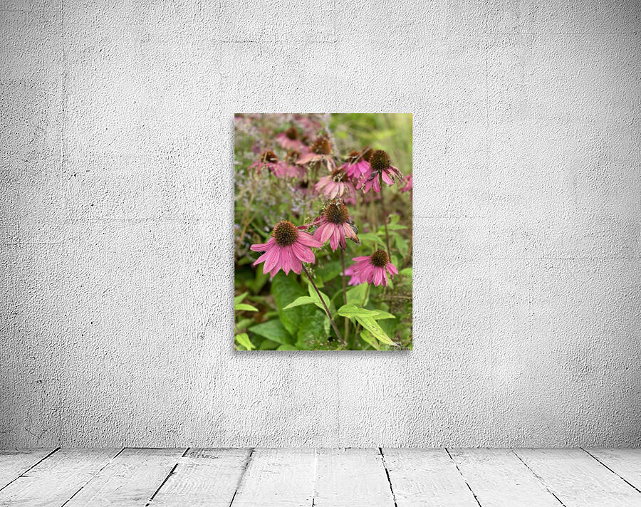 Sleepy Flowers Wall Preview