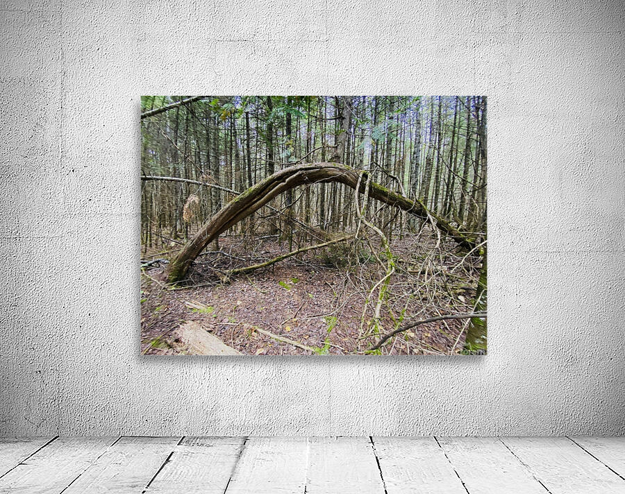 Bent Out Wall Preview