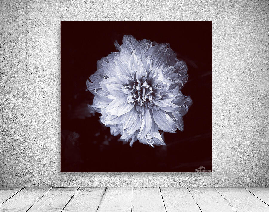 Wallflower Wall Preview