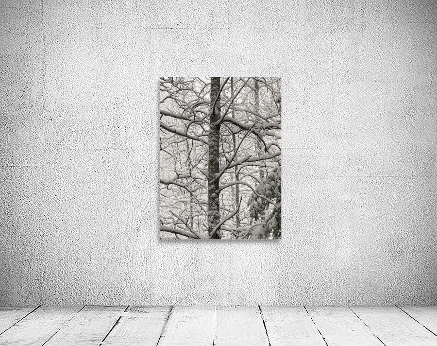 Before the Wind Blows Wall Preview