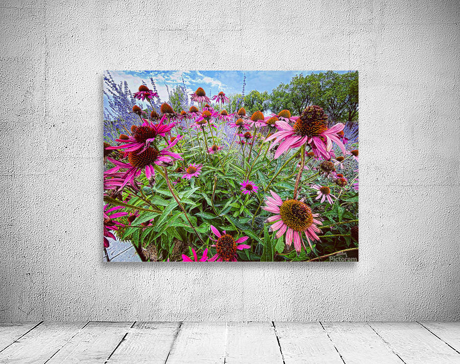 City Garden Wall Preview