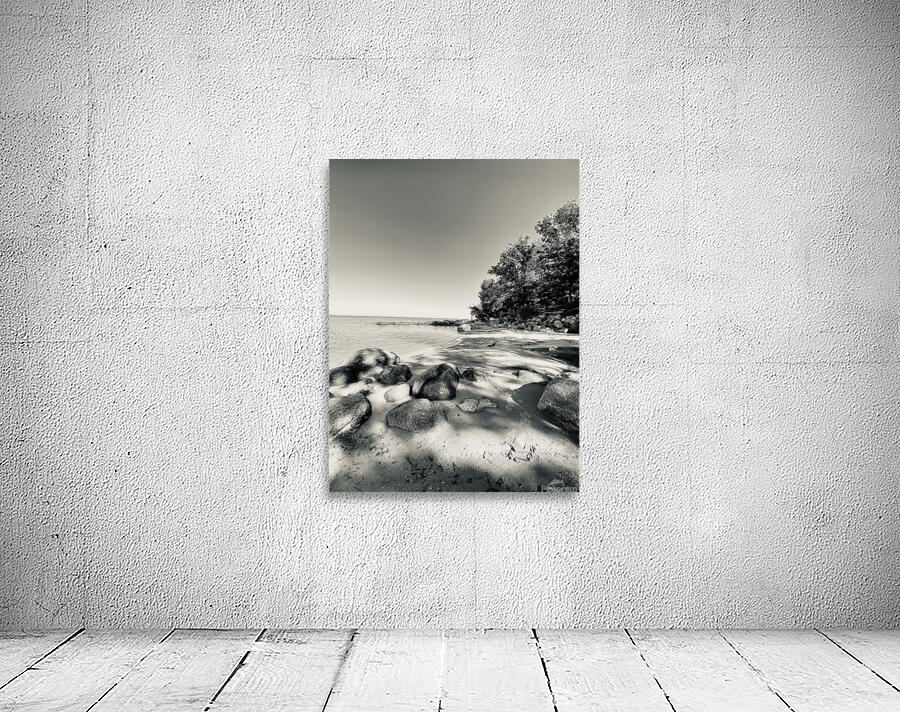 Beachfront Moment Wall Preview
