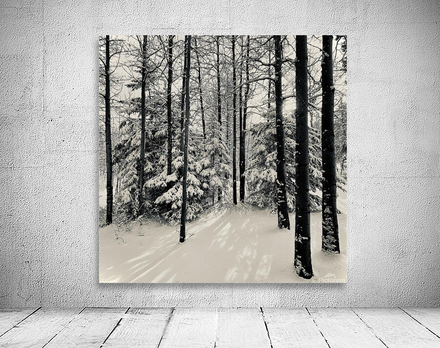 May Snowfall Wall Preview