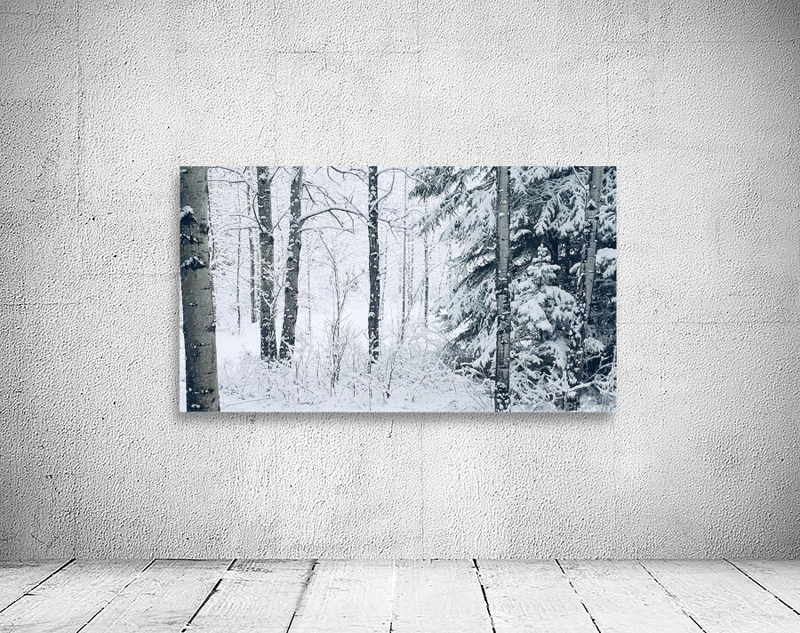 First Snowfall Wall Preview
