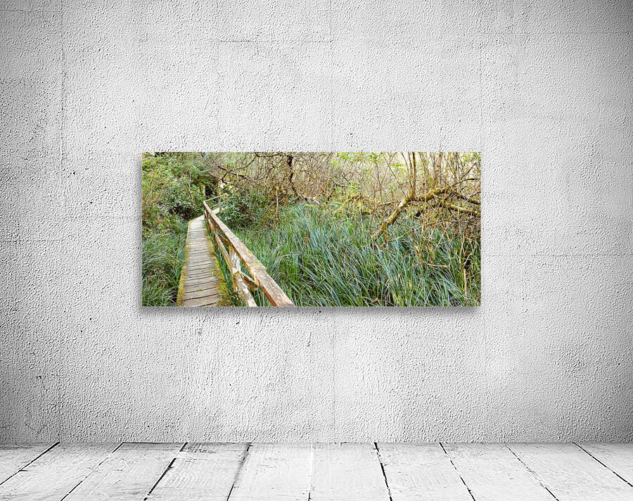 Green Serene Wall Preview