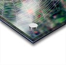 Spider web Acrylic print