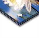 Water lily reflection Acrylic print