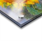 Sunflower beauty Acrylic print