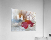 Beach Jewels Acrylic Print