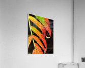 Staghorn sumac Acrylic Print