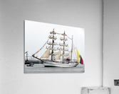 Guayas  Acrylic Print