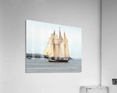 Oosterschelde Acrylic Print