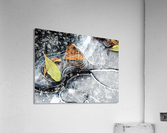 Ground patterns Acrylic Print