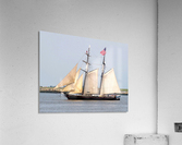 Shenandoah Acrylic Print