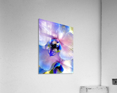 Orchids  Acrylic Print