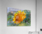 Sunflower beauty Acrylic Print