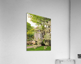 Springtime  Acrylic Print