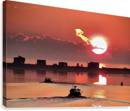 July sunrise Canvas Print