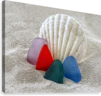 Mermaids tears Canvas Print