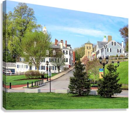 Spring on Leyden Street Canvas Print