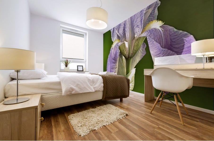Light purple iris Mural print