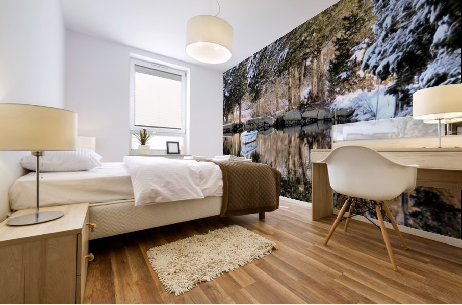 River reflections  Mural print