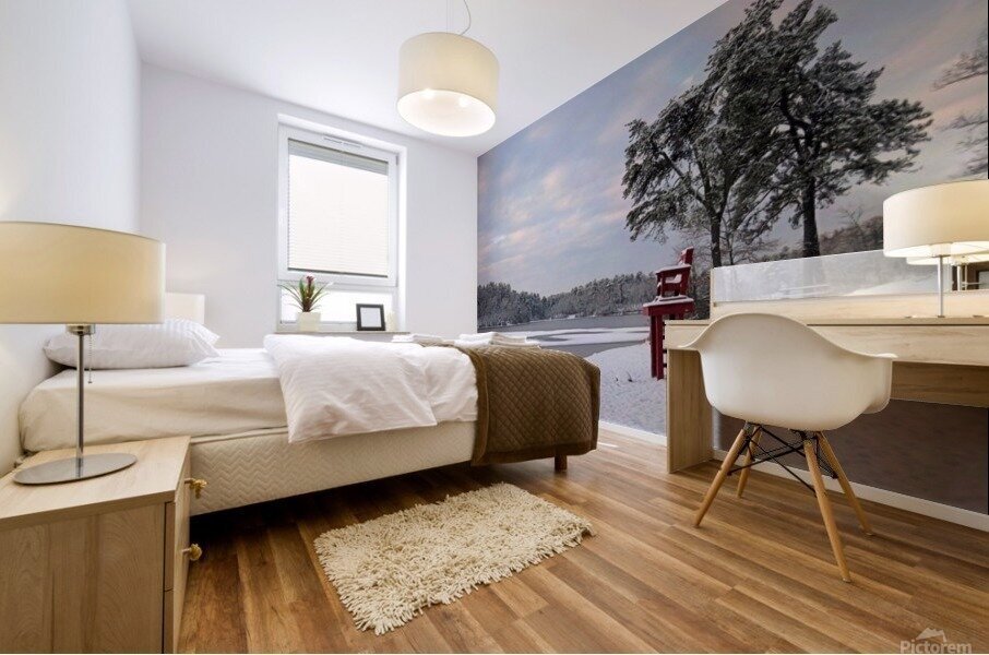 Winter pond Mural print