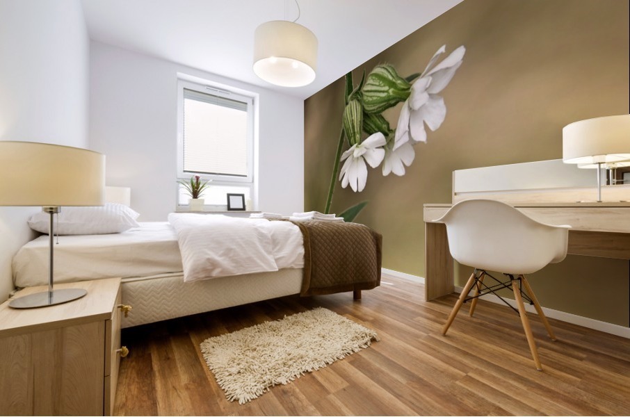 White campion Mural print