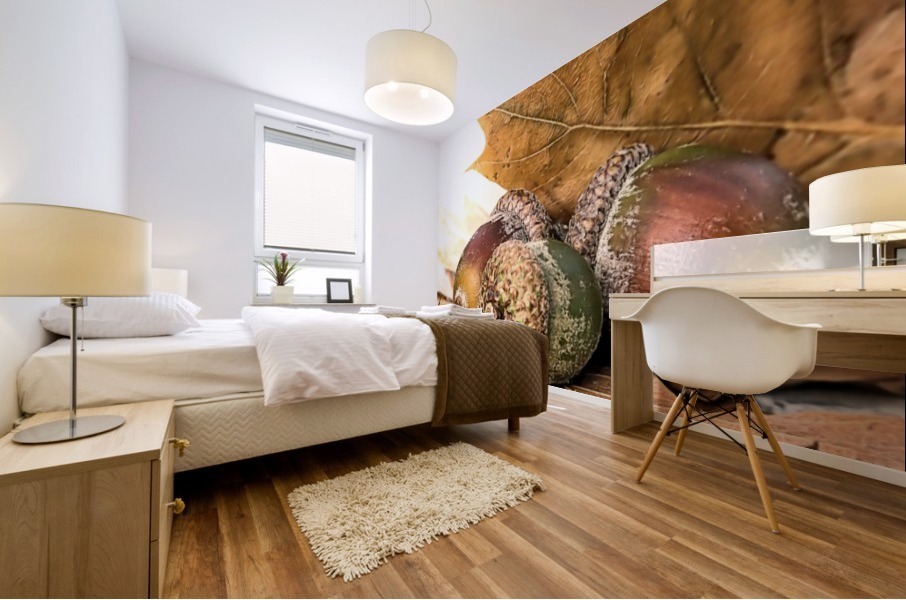 Acorns Mural print