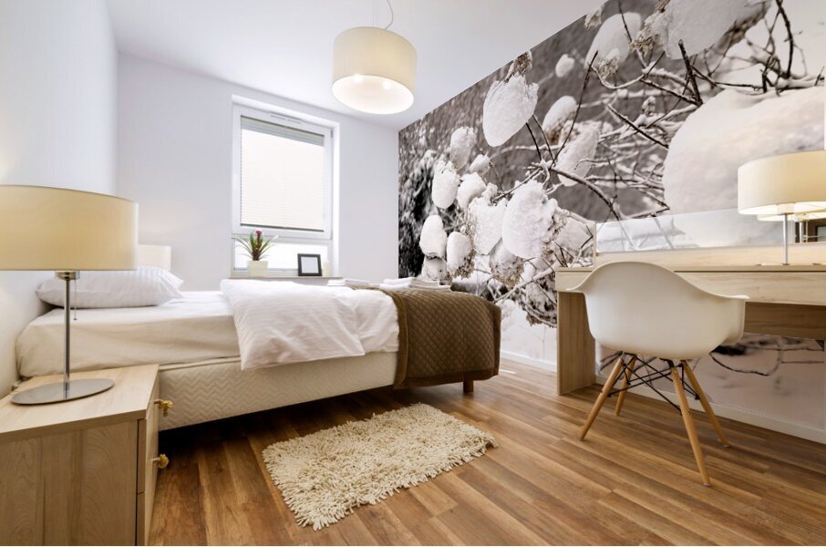 Snowcovered hydrangeas  Mural print