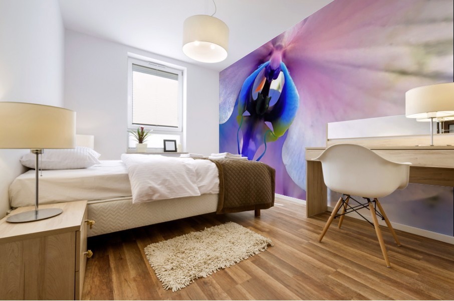 Orchids  Mural print