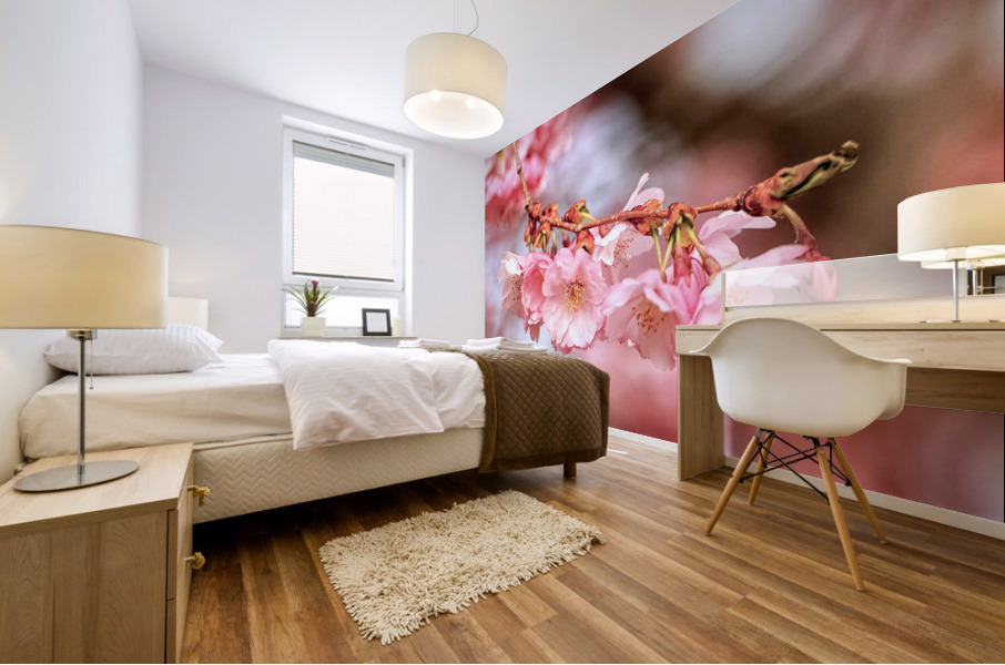 Spring pink cherry blossoms Mural print