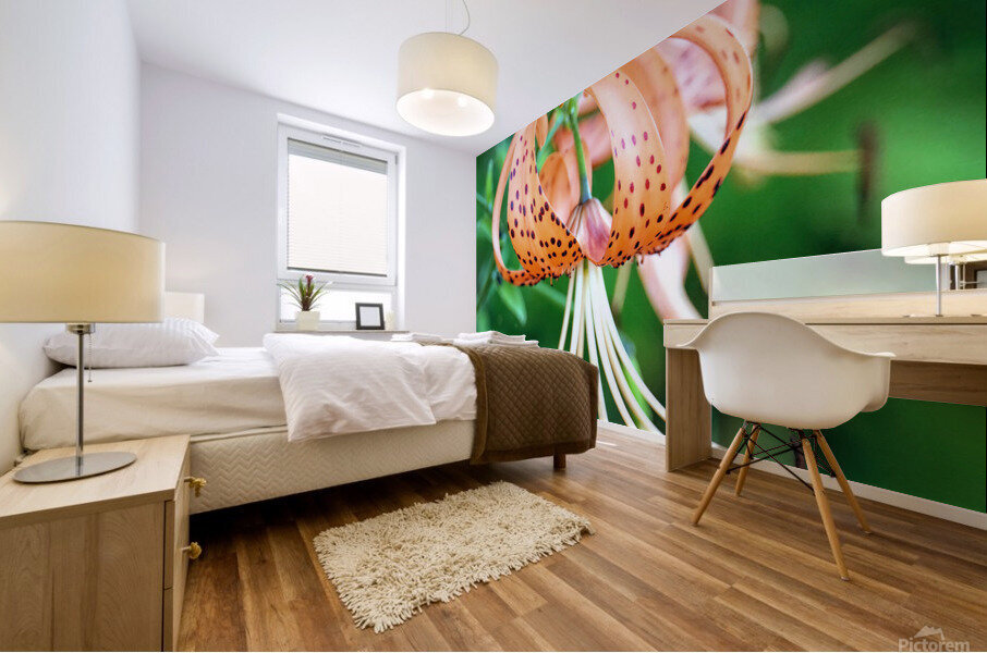 Tiger lilies  Mural print