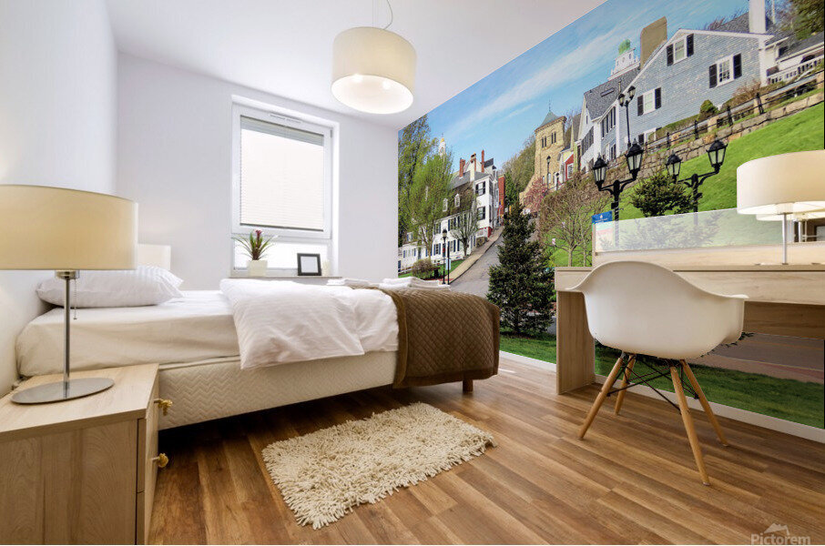 Spring on Leyden Street Mural print