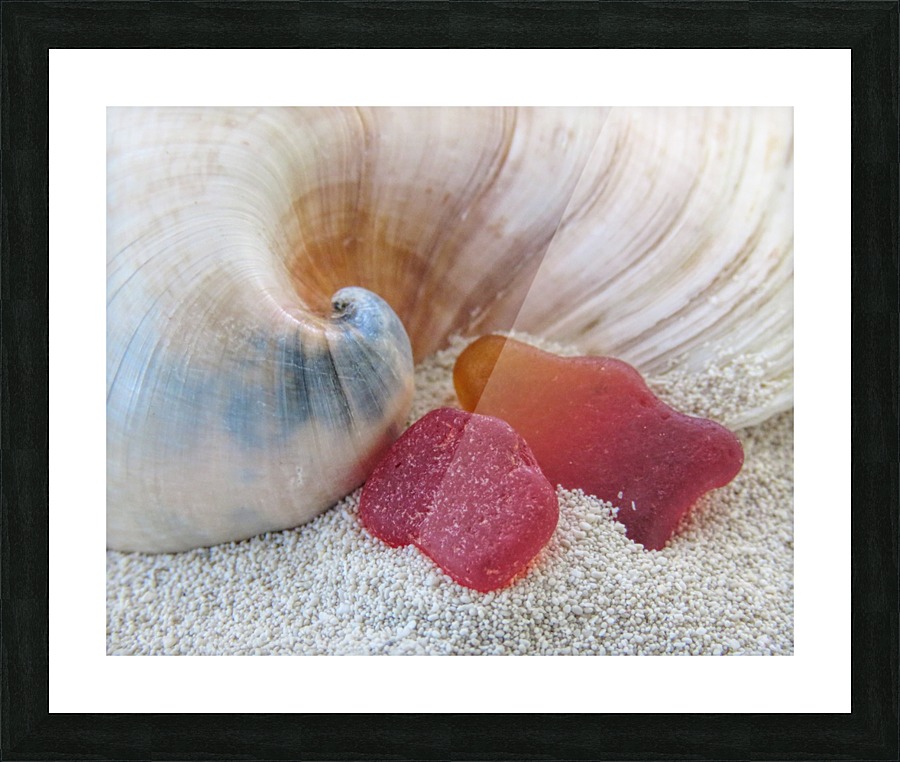 Beach Jewels Picture Frame print