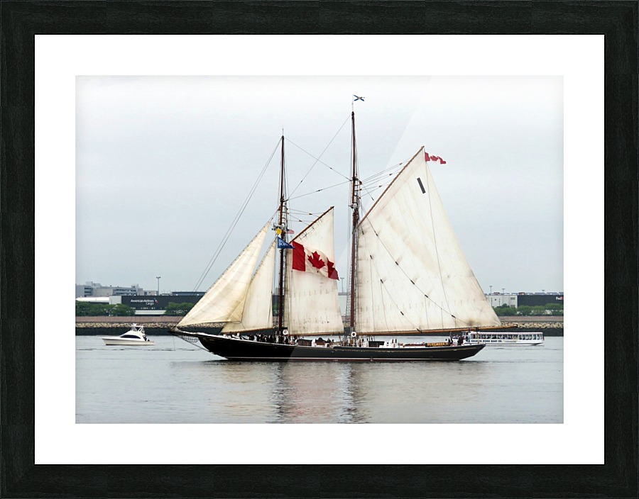 Bluenose II Picture Frame print