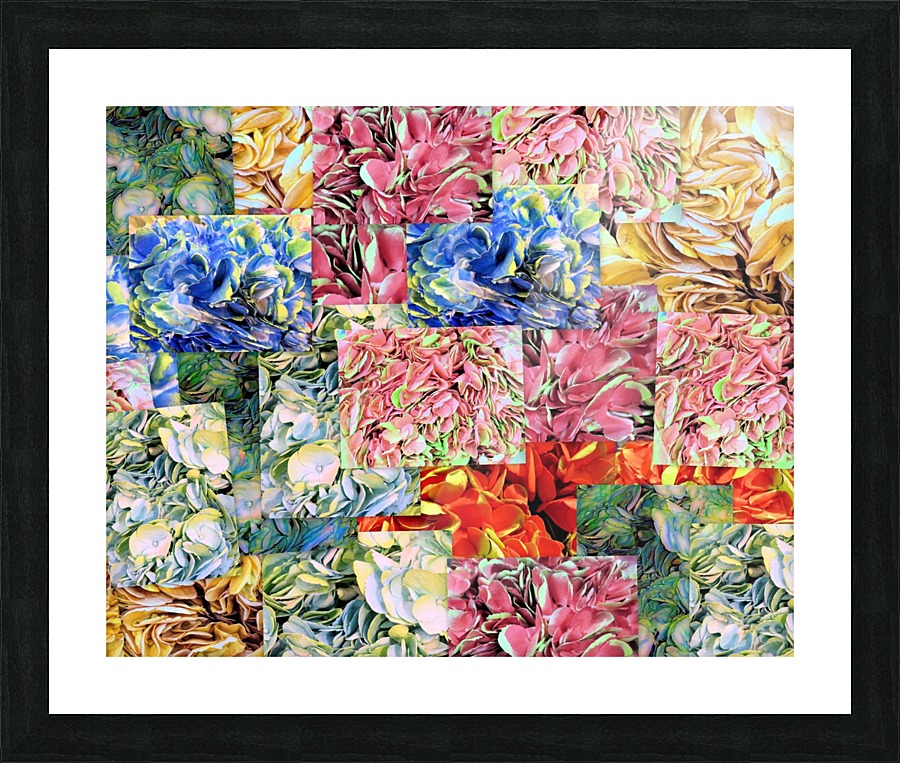 Hydrangea Petals  Picture Frame print
