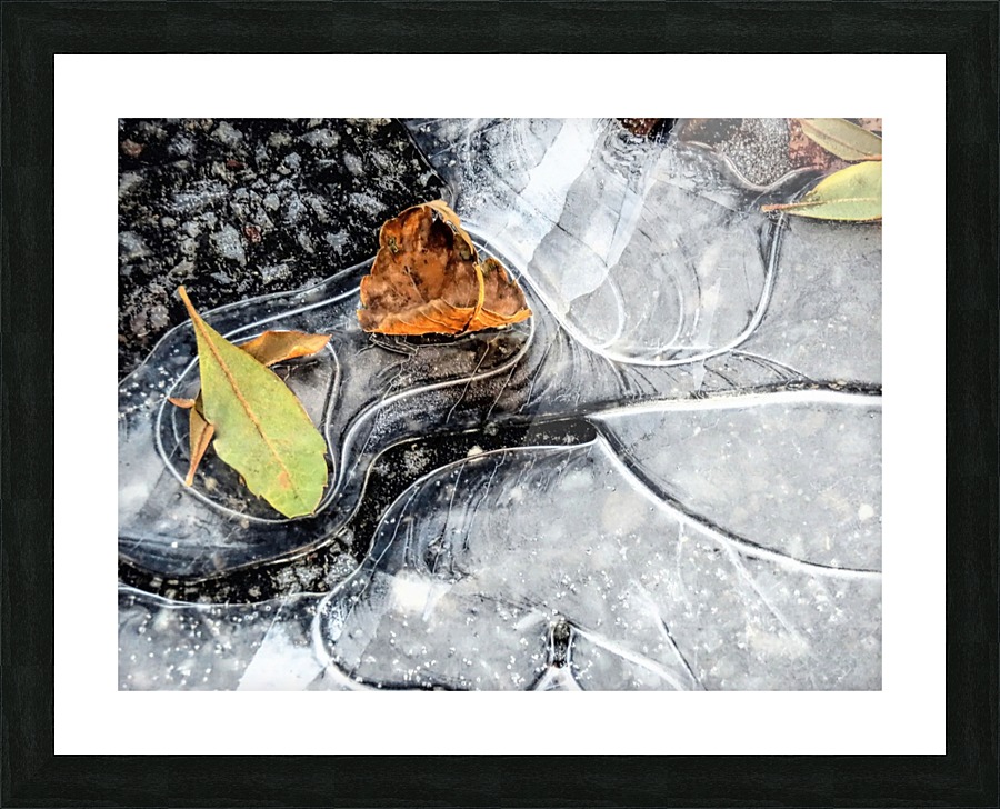 Ground patterns Picture Frame print