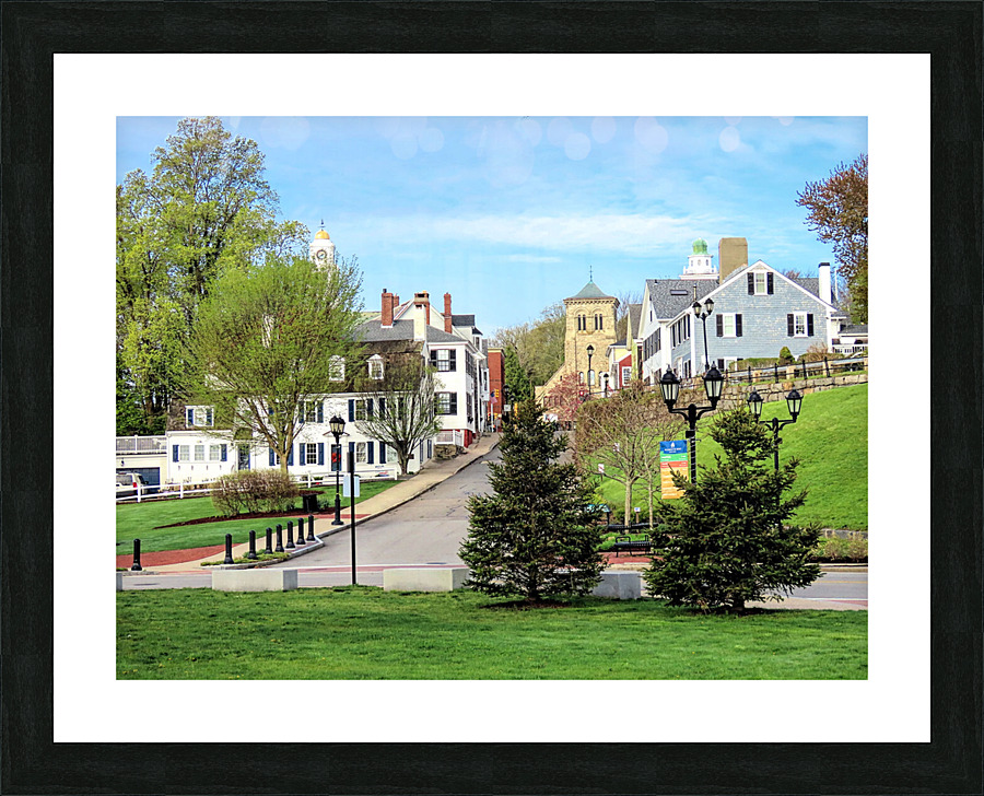 Spring on Leyden Street Picture Frame print