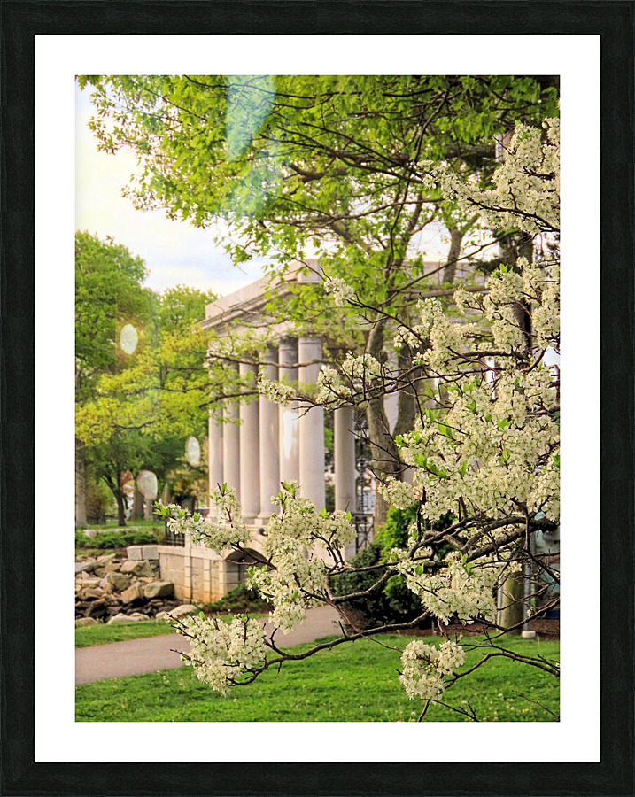 Springtime  Picture Frame print