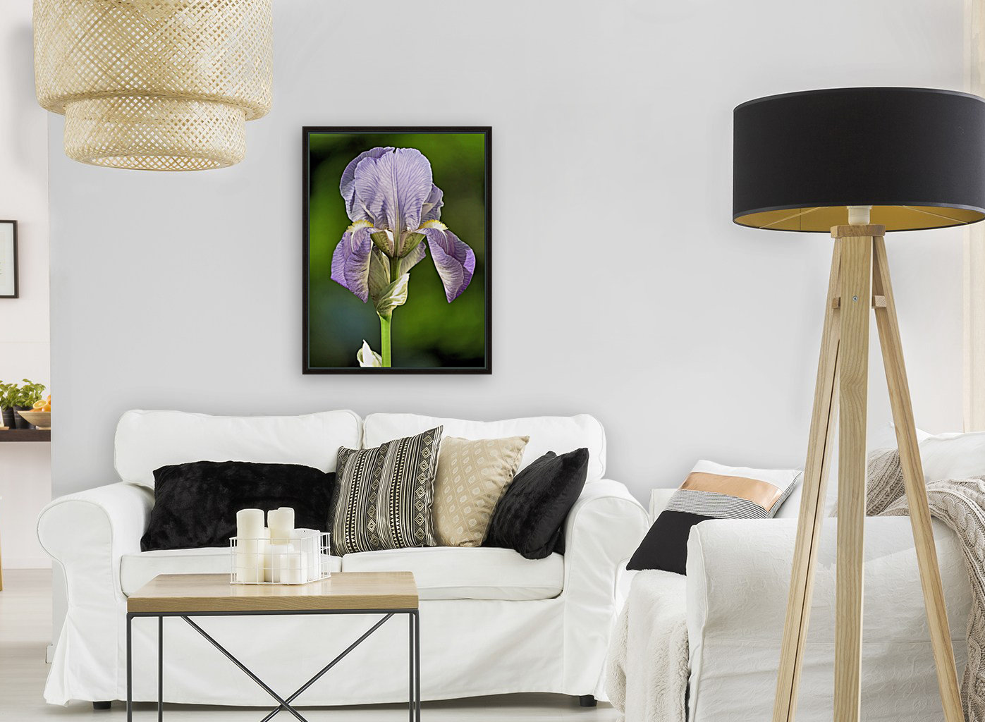 Light purple iris Reproduction
