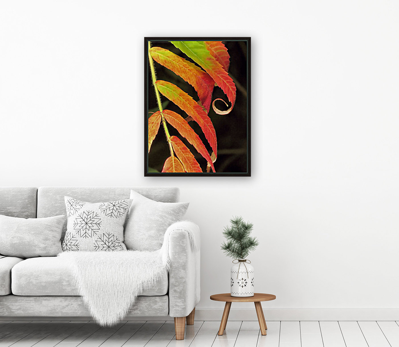 Staghorn sumac Reproduction