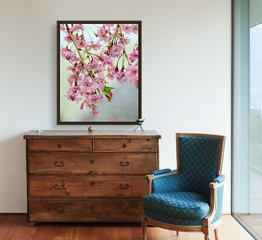 Weeping cherry blossoms Reproduction