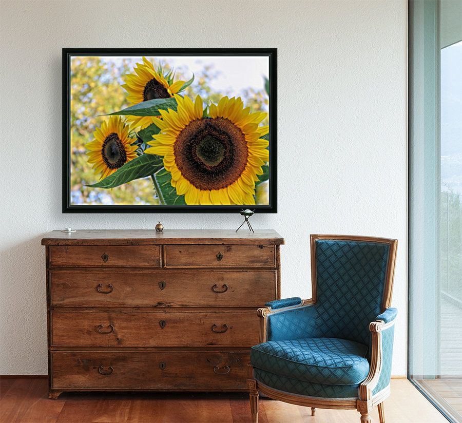 Sunflower trio Reproduction