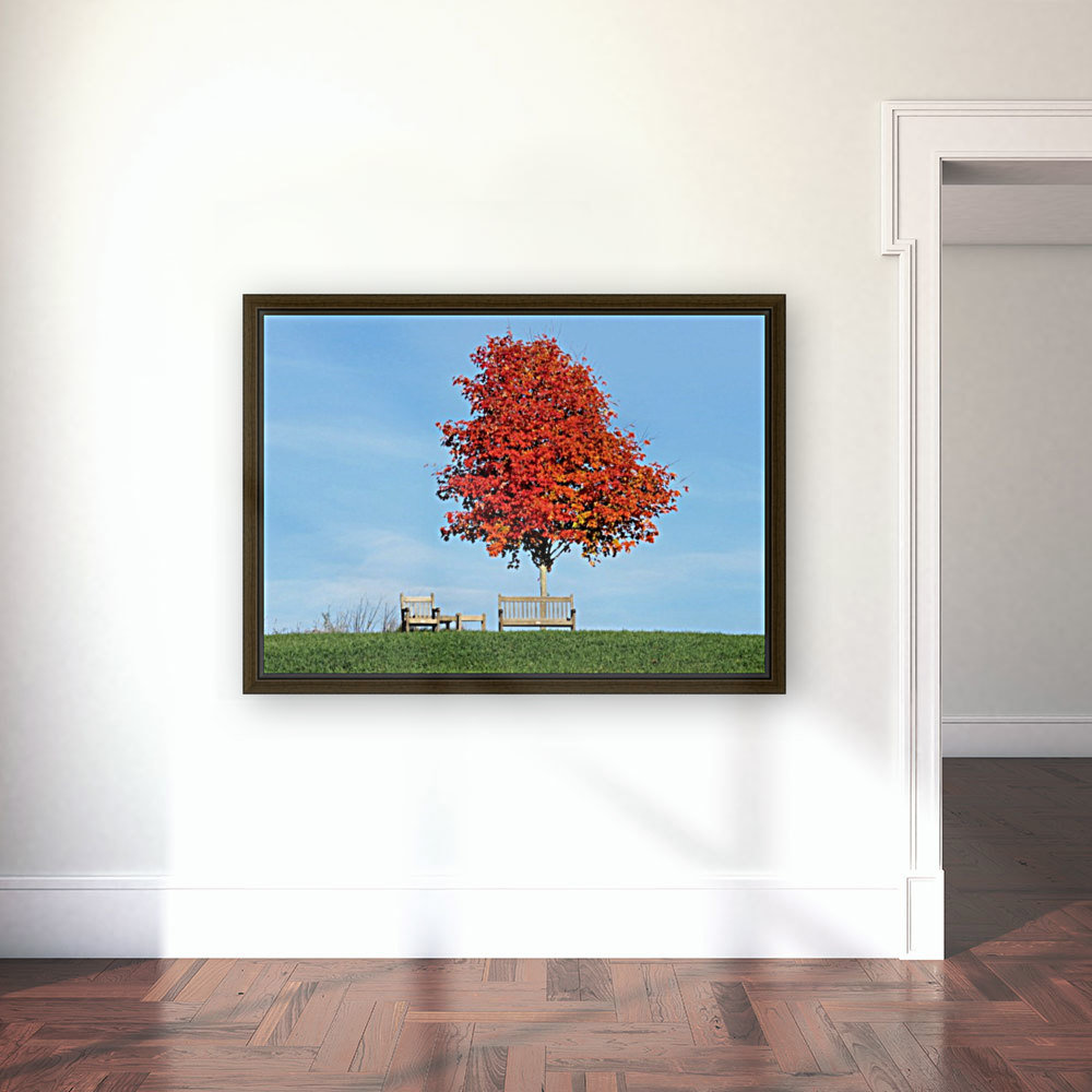 Under the foliage tree Reproduction